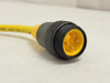 Turck RS40-4M; Male Connector Cordset # U2085; 300V; 9A