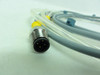Turck RKV 4.4T-1.6-RSV 4.4T/S101; Cordset 4A; 250V; 1.6M Length