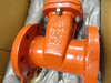FTS GVI04F0-DDSE-PS1/MH-H; Gate Valve 4"