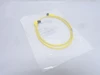Allen-Bradley 889D-F4ACDE-1; DC Micro Cable; 4-Pin; 250V; 4A