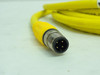 Turck RKG 4.4T-3-RSE 4.4T/S600; Euro Fast Cable U5317-93; 2m