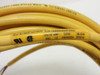 Woodhead 103000A03F3002; Cable 30' Long 300V 10A 3-Pin Connector