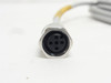 ifm E18109; Female Cordset; 300VAC/DC; 4-Wire; 5m Long