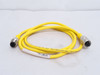 Turck RK 4.43T-1.3-RS 4.43T; Connector Cordset U0933-15
