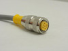 TURCK U99-11698; Euro-Fast Molded Cordset 300V 10' Long