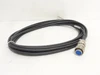 SICK DOL-MS10-G10MMA3; Encoder Connecting Cable; 10-Pin; 10m L