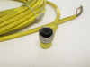ifm E18210; Single Ended Cordset; 10m; 1/2" Female To Pigtail