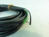 Oriental Motor CC05AC43P; Extension Cable; 16.4 FT