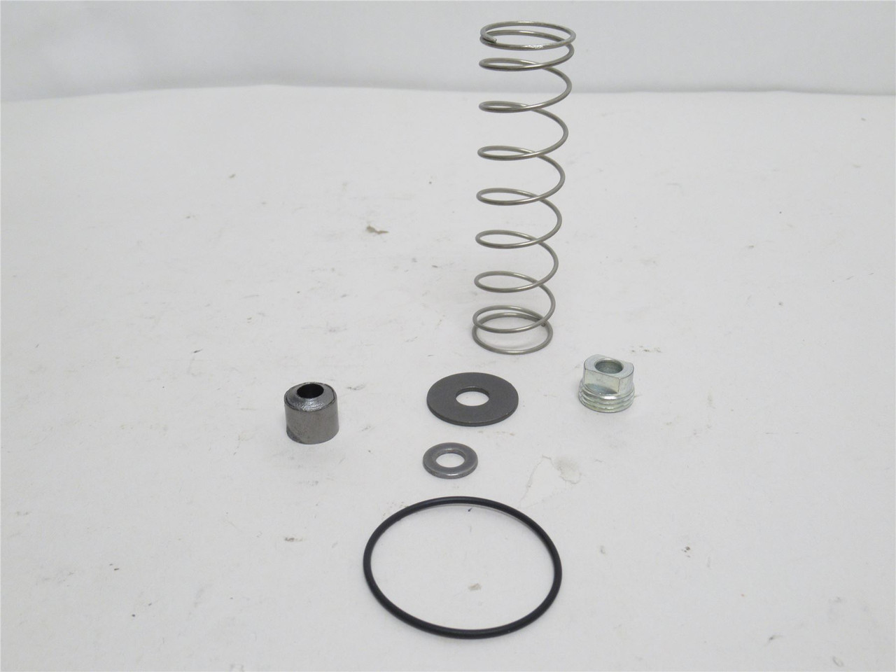 Parker 202038; Main Valve S4A Plug Kit; Size: 1"