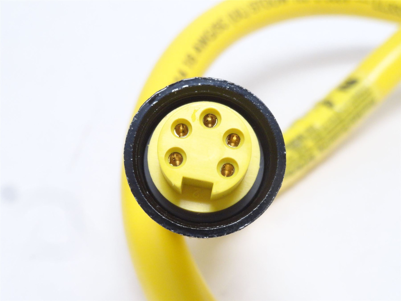 Woodhead 1300061160; Single Ended Cordset; 5 Pole; 3' Long