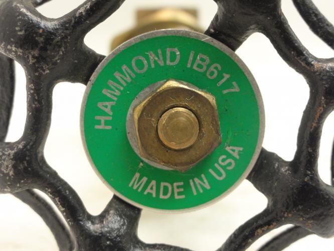 Hammond Valve IB617; Gate Valve 1/4" NPT
