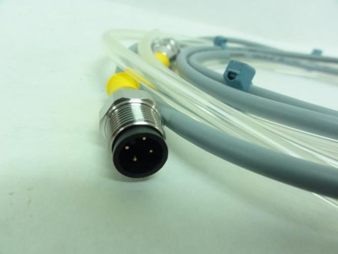 Turck RKV 4.4T-1.6-RSV 4.4T/S101; Cordset 4A; 250V; 1.6M Length