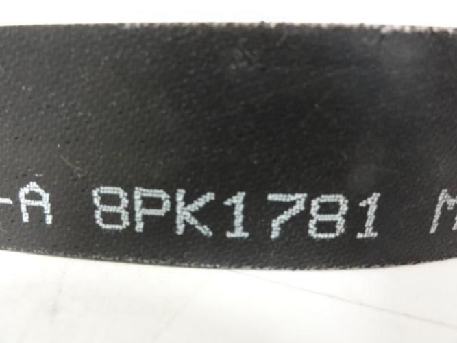 Bando 8PK1781; Serpentine Belt; Industry Number 700K8
