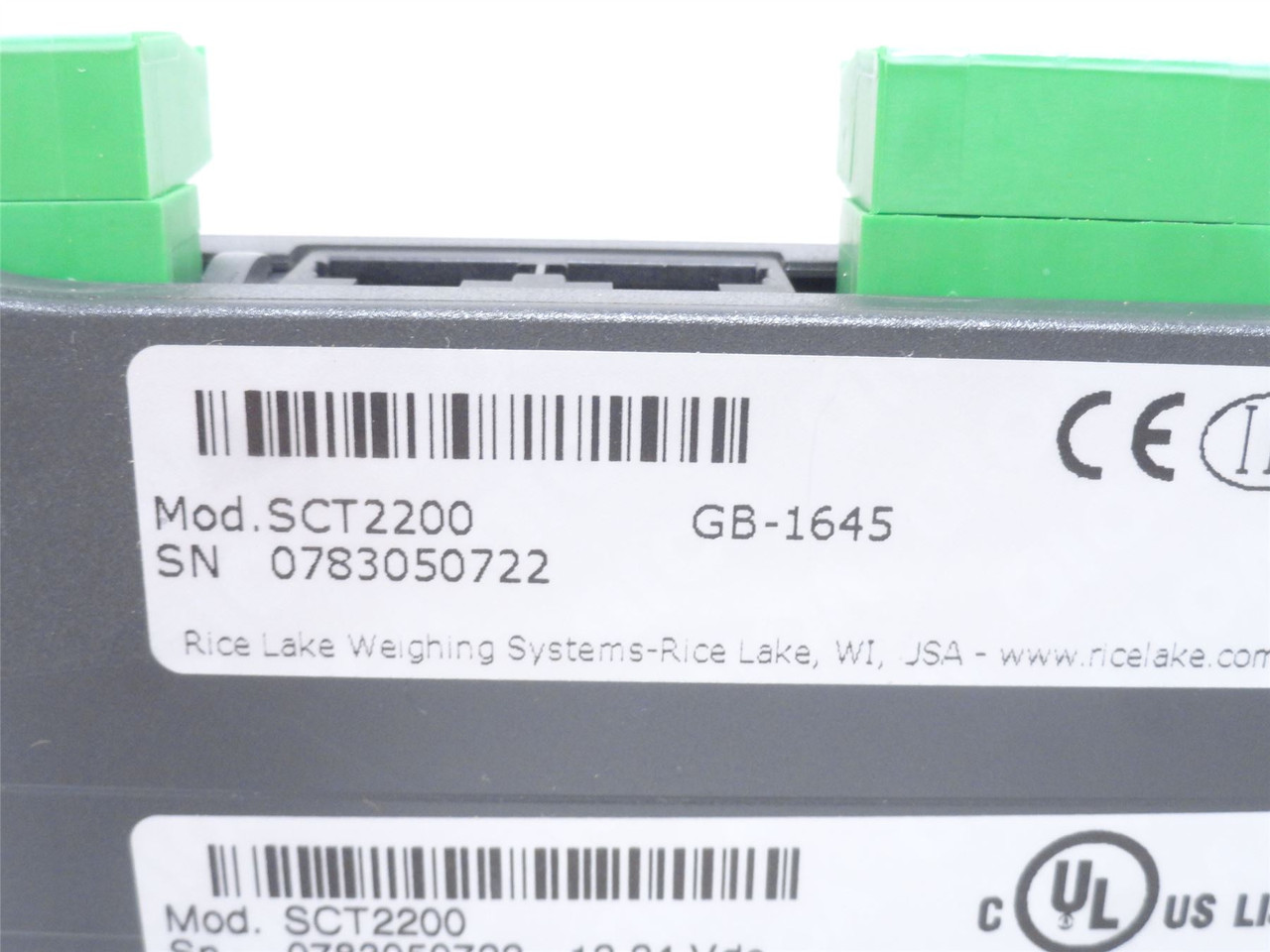 Rice-Lake SCT2200; Analog Output Indicator; 12-24VDC In
