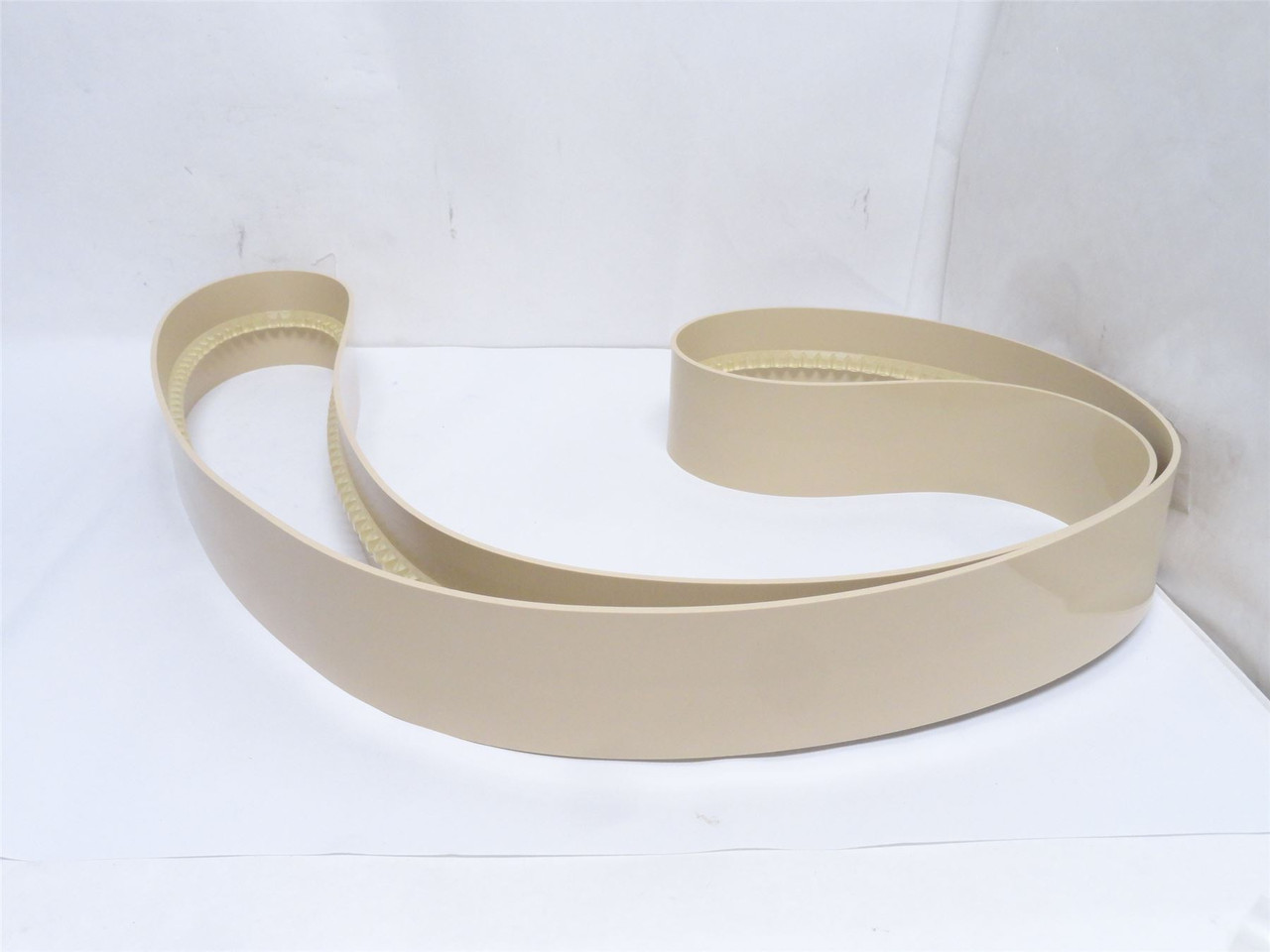 Ammeraal A103290; Conveyor Belt; 3-1/4" Wide; 113" Long