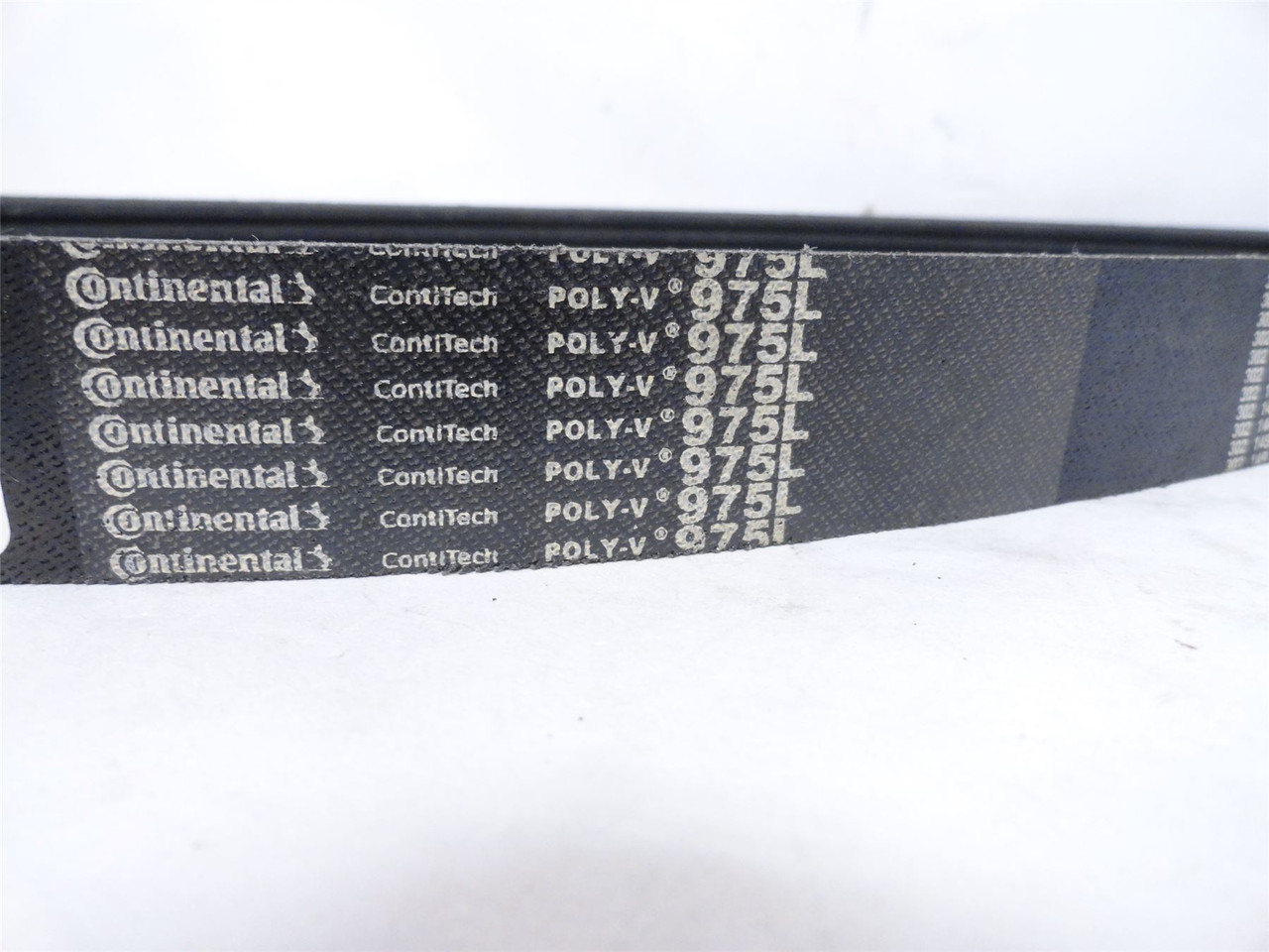 Continental 975L6; Poly-V Belt 20065658; 6-Rib; 97-1/2" Long