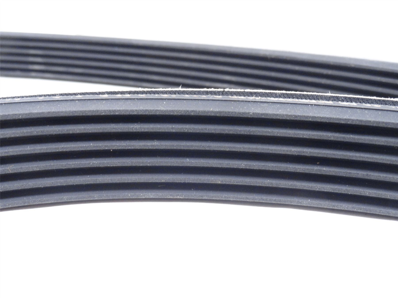 Megadyne PL3696/1455L; V-Belt; 5-Rib; 3696mm/1455" Long