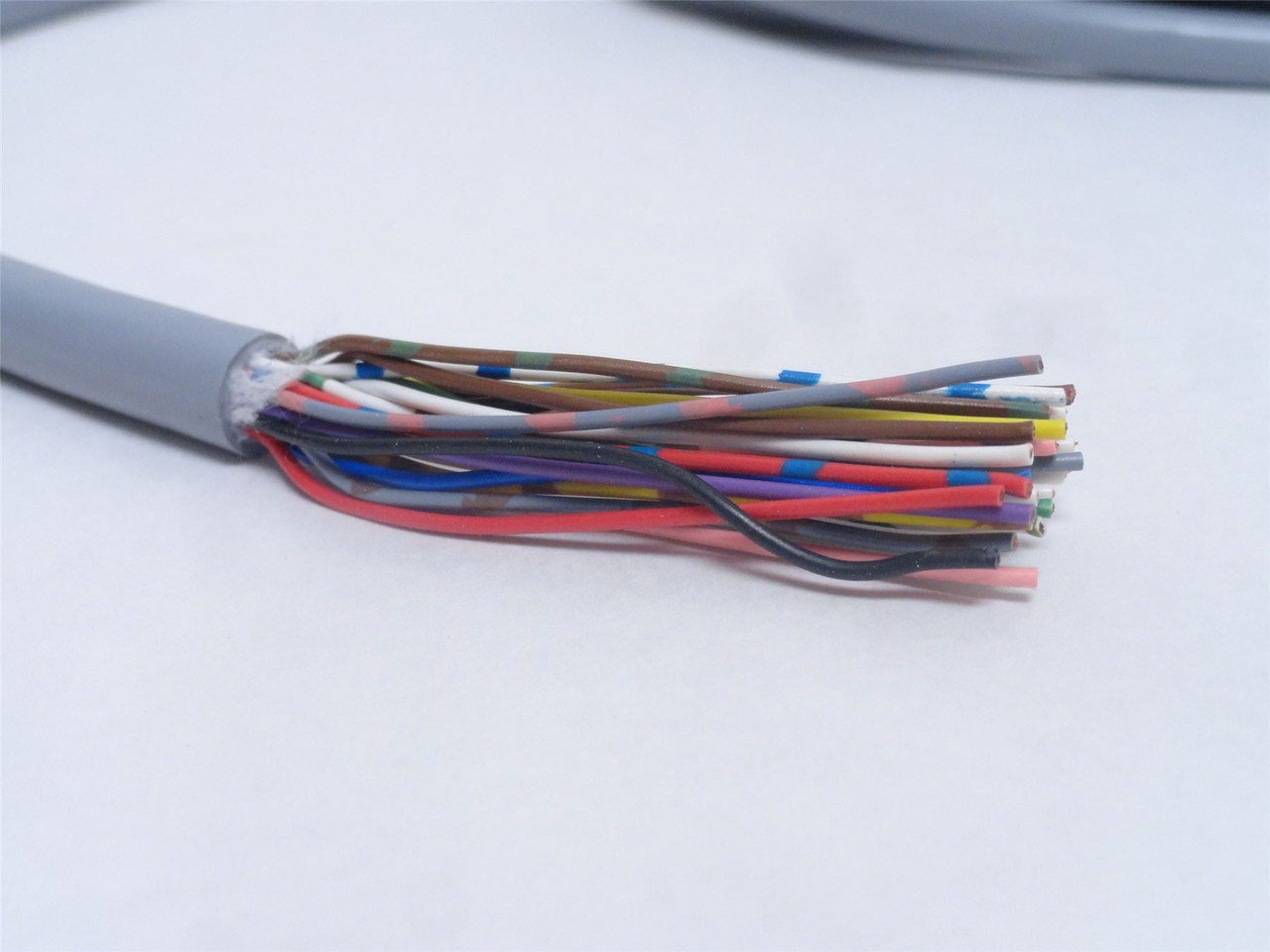 Festo NEBV-C-S1WA25- F-30-N-LE25-S10; Connector Cable 8003577