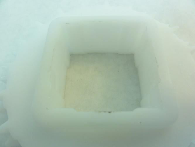 Intralox S3E1XXCGE7NG; Sprocket; S1100; 20T; 1-1/2" ID