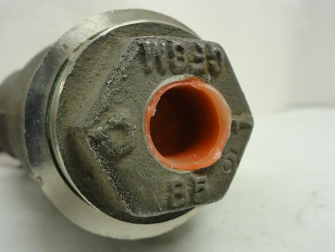 Hayward 85-1; Steam Y-Trap; SS; 1" NPT; 600WOG