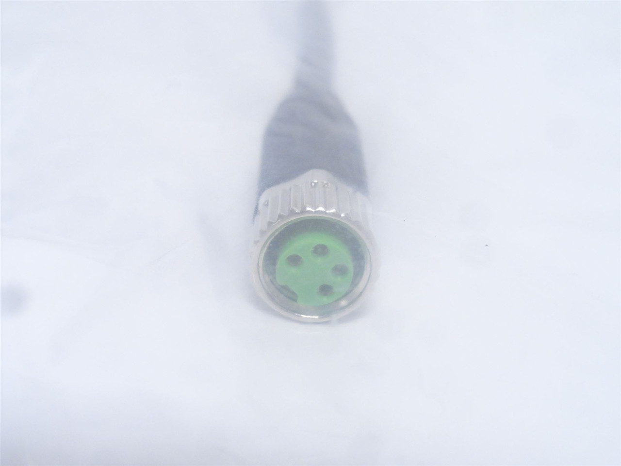 Murr 7000-88011-6310015; Actuator Cable; M8; 9-1/2" Long