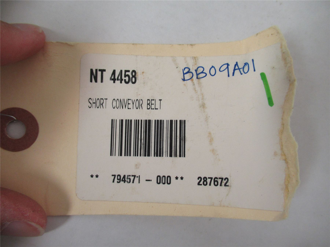 EAM Mosca  NT4458; Conveyor Belt Short