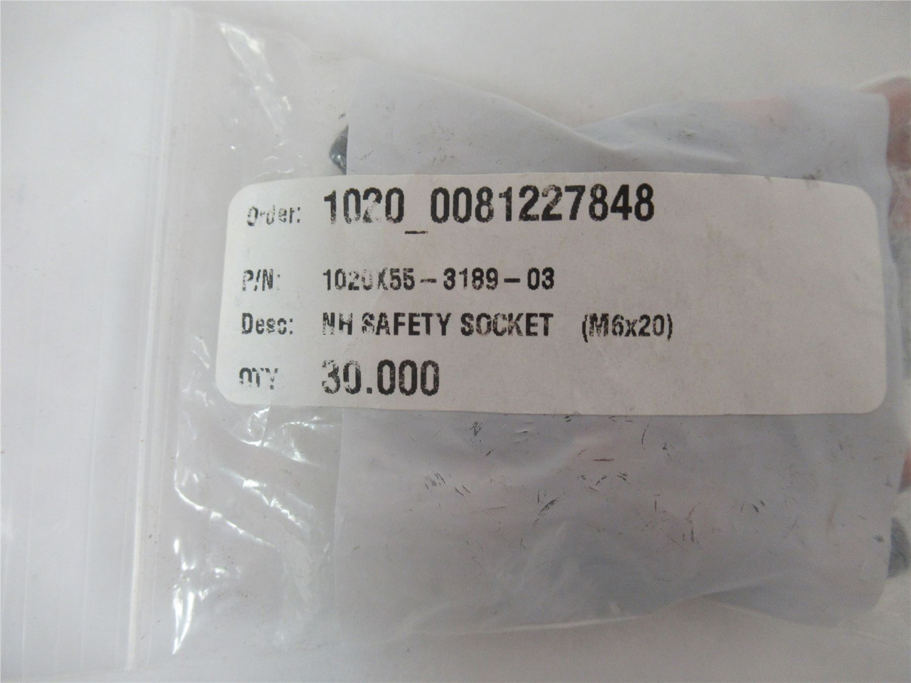 Ishida 1020X55-3189-03; Lot-30 NH Safety Socket M6x20