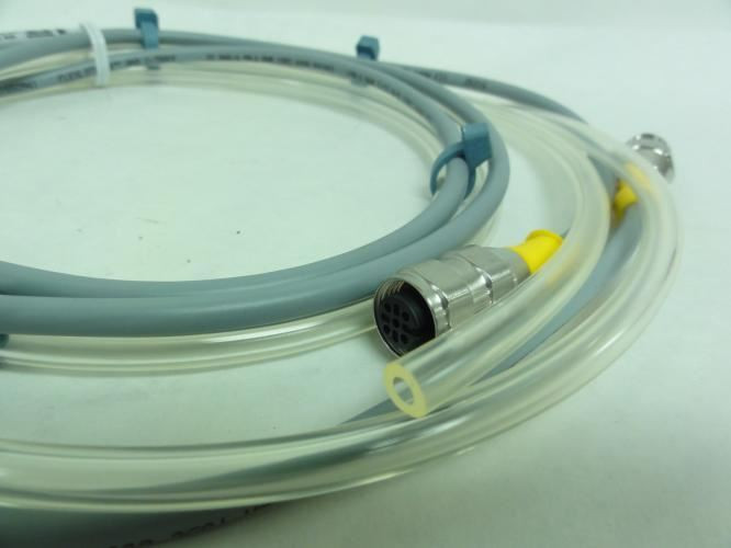 Turck RKV 4.4T-1.6-RSV 4.4T/S101; Cordset 4A; 250V; 1.6M Length
