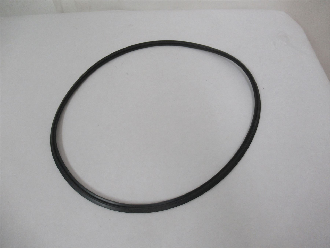 John Bean Tech 17261; Lot-2 Gasket 10" Buna