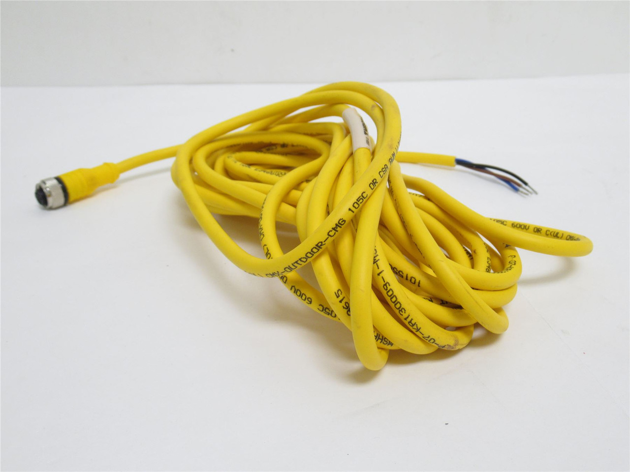 Turck RKC 4T-6; Cordset U53005-10; 3 Wire; 6m Length