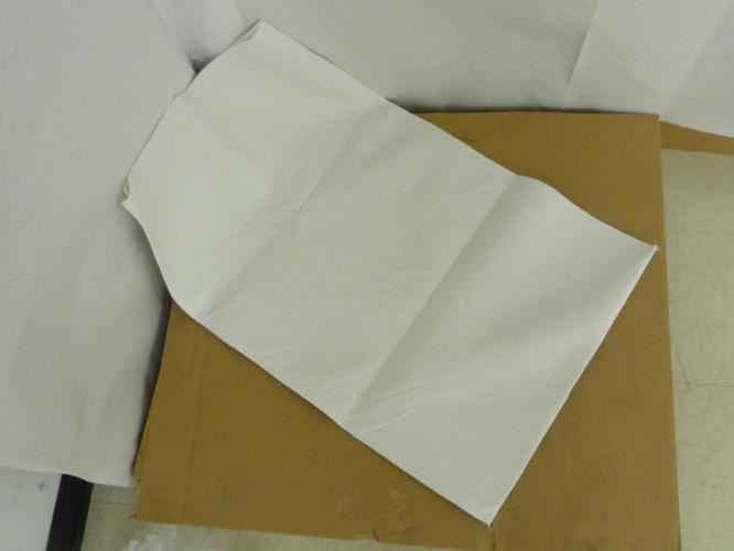 Industry-Std 1EUT9; LOT-9 Filter Bag; Size 13; 50 Microns