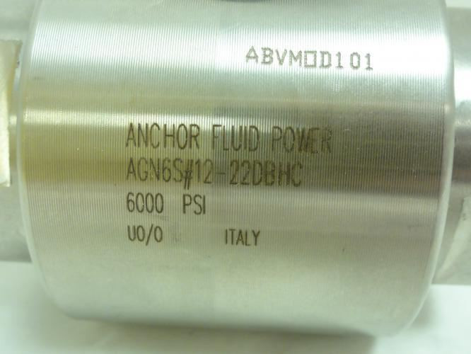 Anchor Fluid AGN6S#12-22DBHC; Ball Valve; SS; 3/4 BSPP; 6000Psi