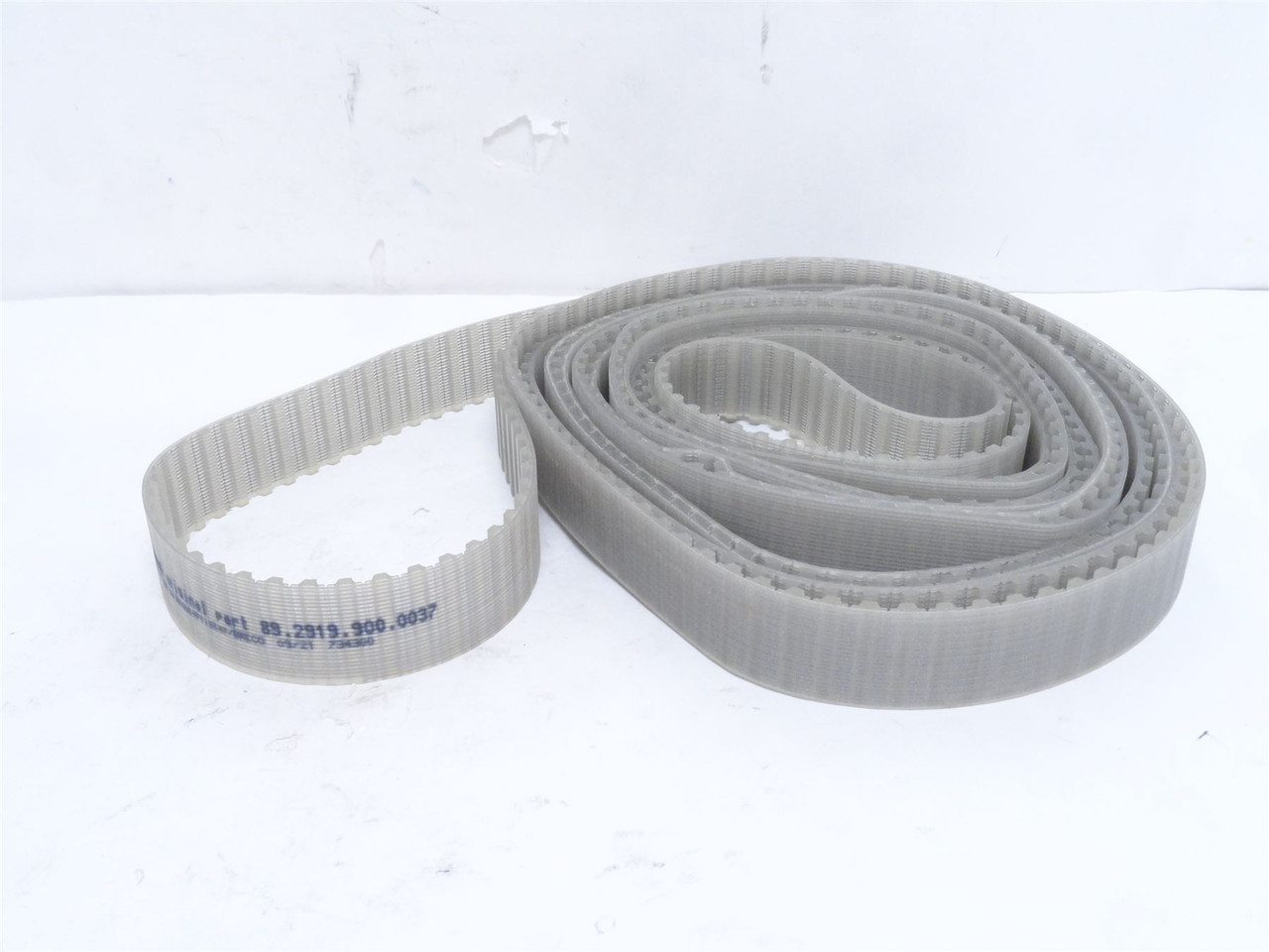 Meyn 89.2919.900.0037; Gear Belt; 5' Long x 1-1/4" Wide
