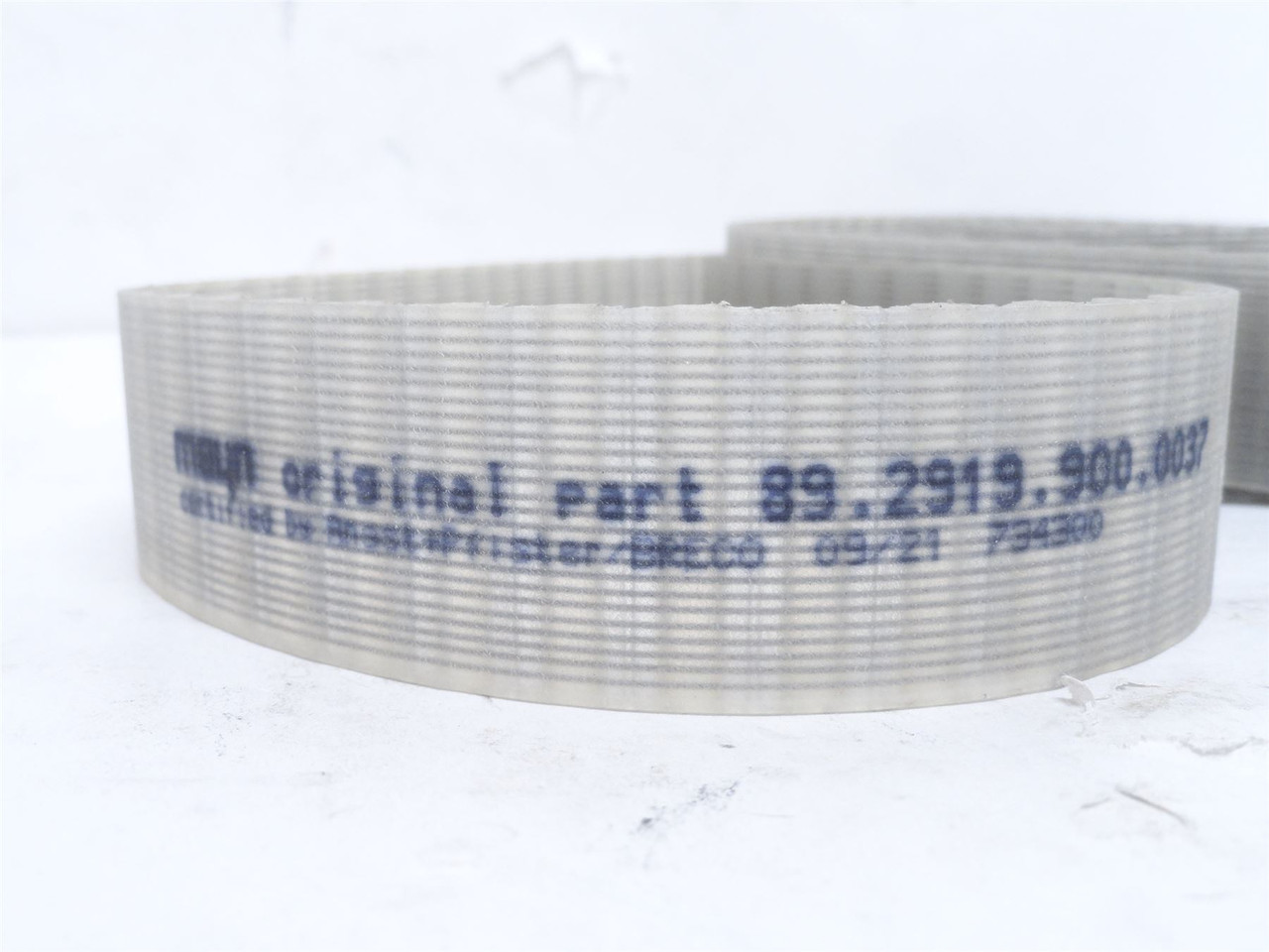 Meyn 89.2919.900.0037; Gear Belt; 5' Long x 1-1/4" Wide