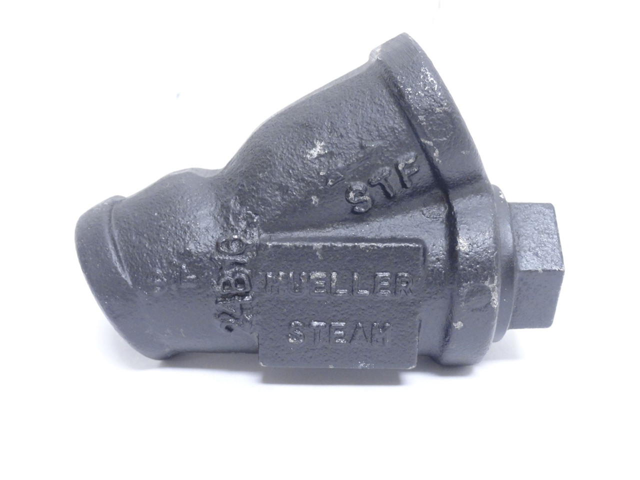 Mueller Steam .75-11M; Wye Pattern Strainer; 3/4NPT; 250SWP