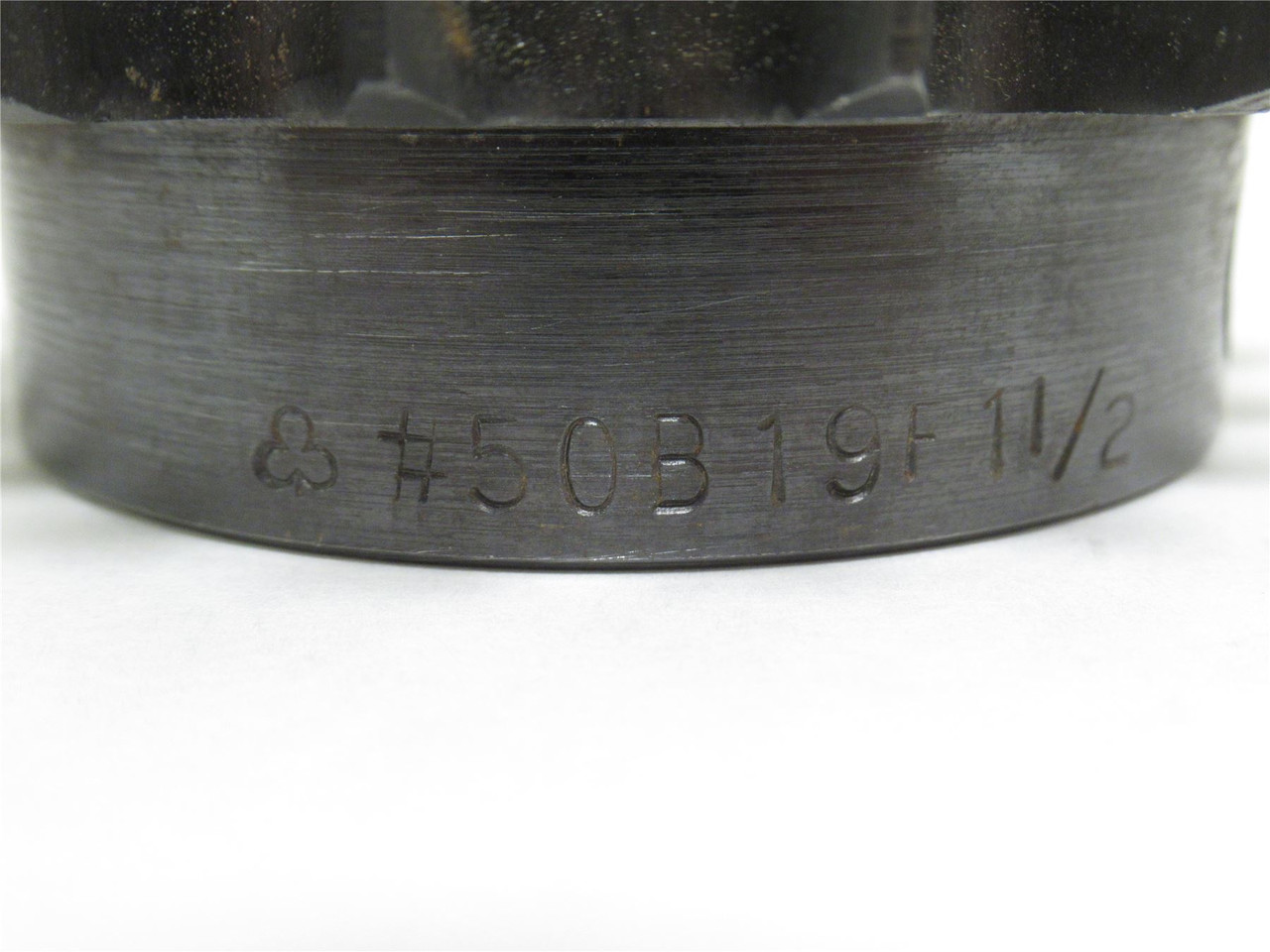 Tri-Clover 50B19F-1-1/2; Sprocket #50; 19 Teeth; 1-1/2"ID