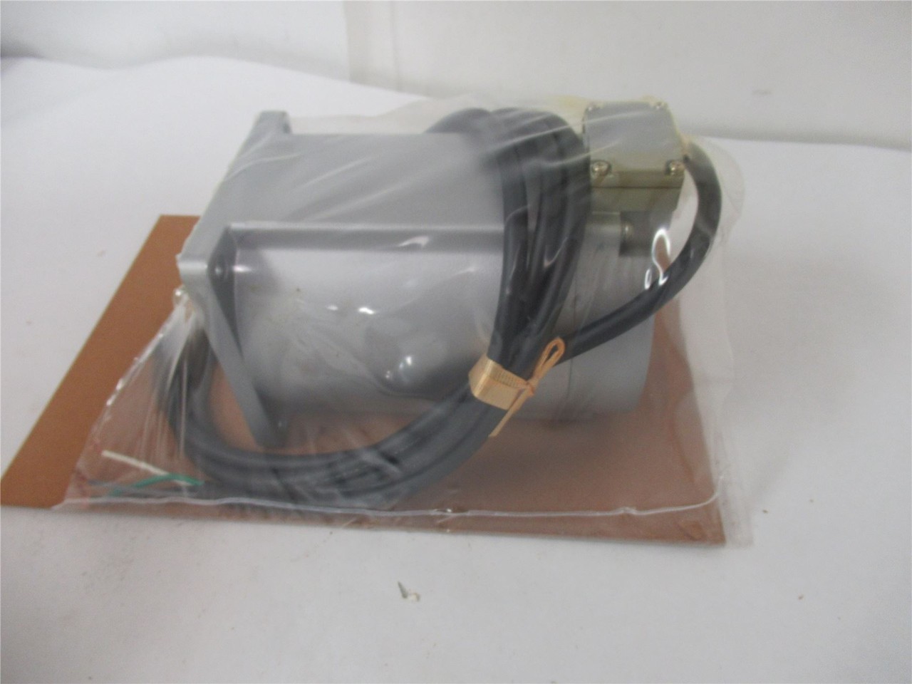 Brother GFW18-010TG2; Gearmotor AC 1/10HP 230VAC 3 Phase