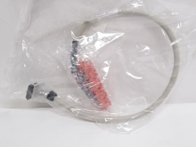 Allen-Bradley 1492-CABLE005D; Pre-Wired Cable 216402; 1/2m Long