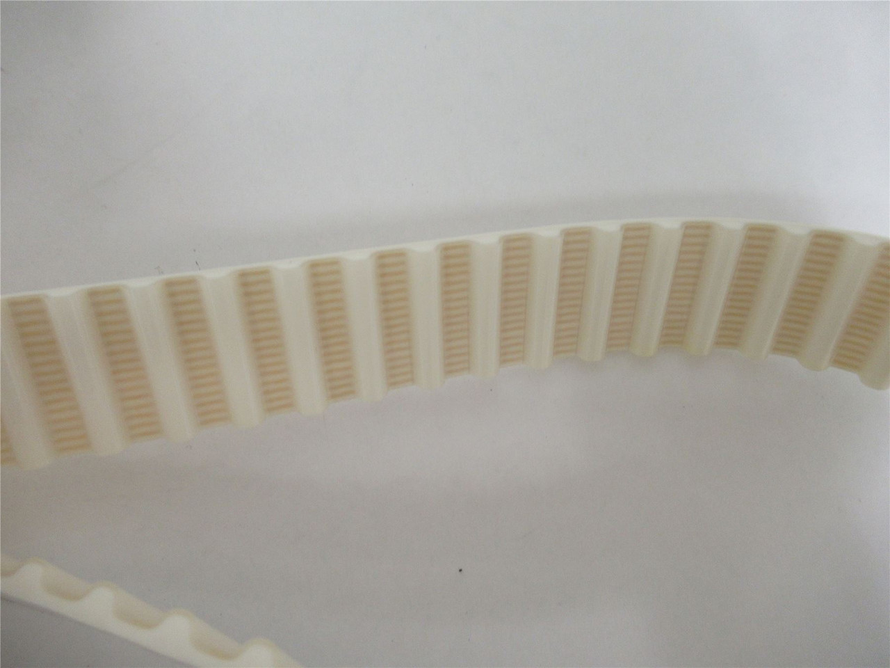 Robert Reiser 200111200; Belt Toothed