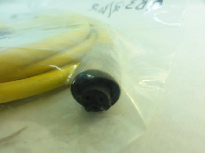 Turck KB32/XOR; Cordset; 2M