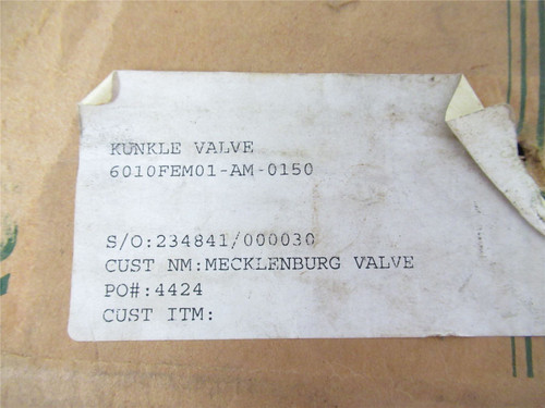 Kunkle 6010FEM01-AM-150; Steam Relief Valve 1" 150 PSI