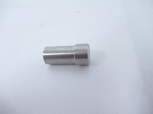 Marel 4262289; Plunger actuator 316 SS