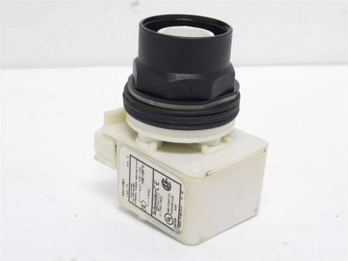 Schneider 9001KM1; Light Block 110-120VAC