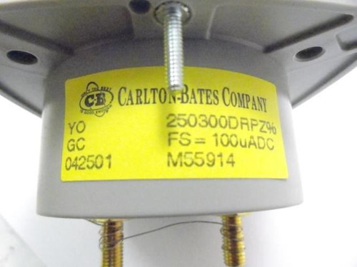 Carlton Bates 250300DRPZ; Panel Meter; 0-150 Percent