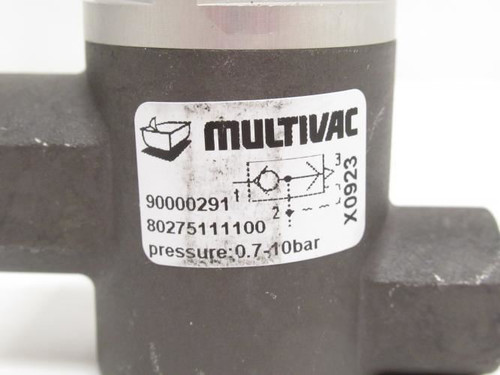 Multivac 80275111100; Rapid Vent Valve 3/8 x 1/4NPT; 0.7-10bar