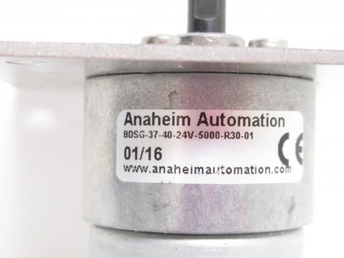 Anaheim BDSG-37-40-24V-5000-R30-01; DC Brush Gearmotor