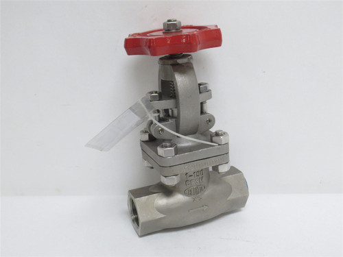 Aloyco 310C02010; Globe Valve; SS-316; 1NPT; Class: 150