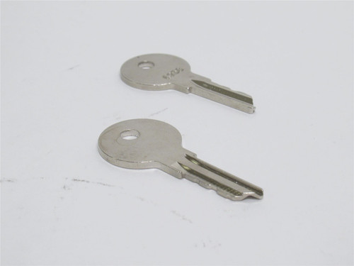 Crown 89216001; Lot-2; Forklift Ignition Keys; C250