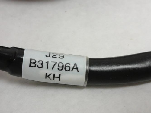 Formax B31796A; Terminal To Display Cable Assembly; 4" L