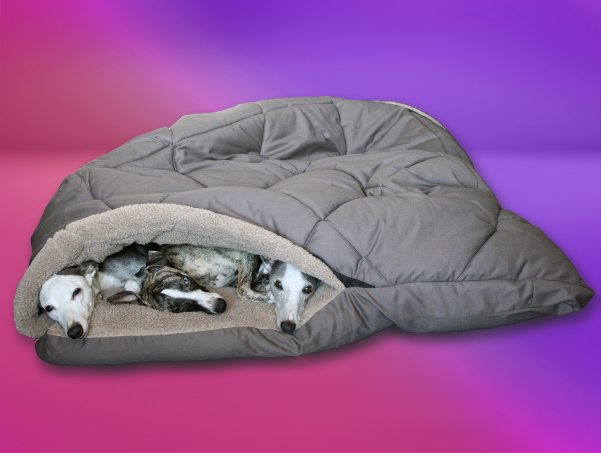 dog pouch bed